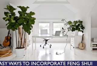 Easy ways to Feng Shui for your home thumbnail
